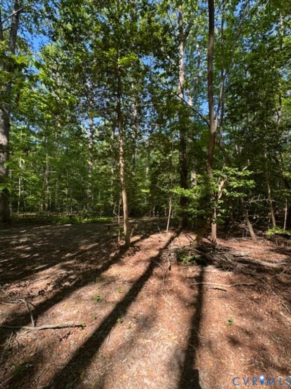 9679 Bridges Bend Road Gloucester, VA 23061 - Photo 14 of 16 backyard