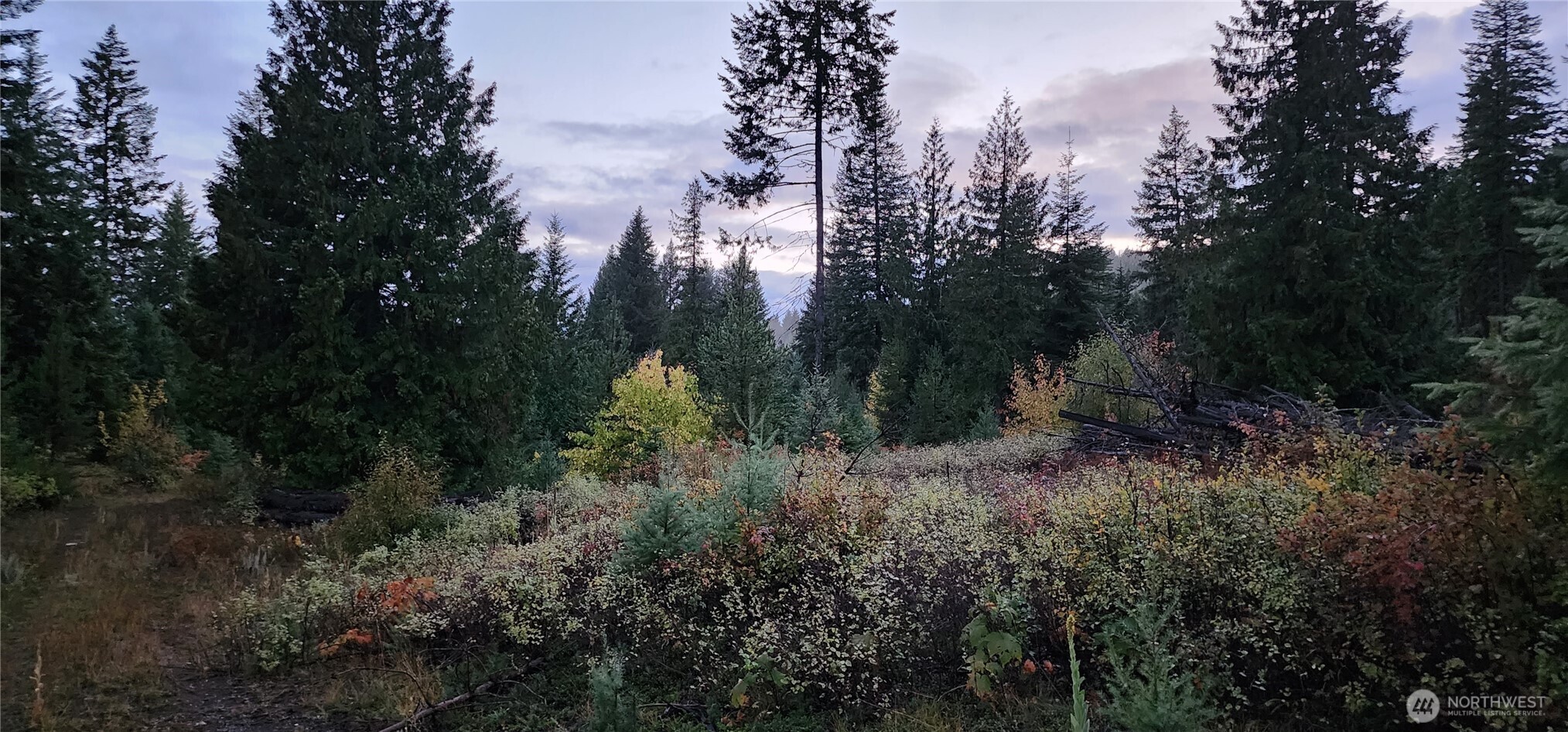 2518 Bodie Mountain Road Colville, WA 99114 - Photo 32 of 40