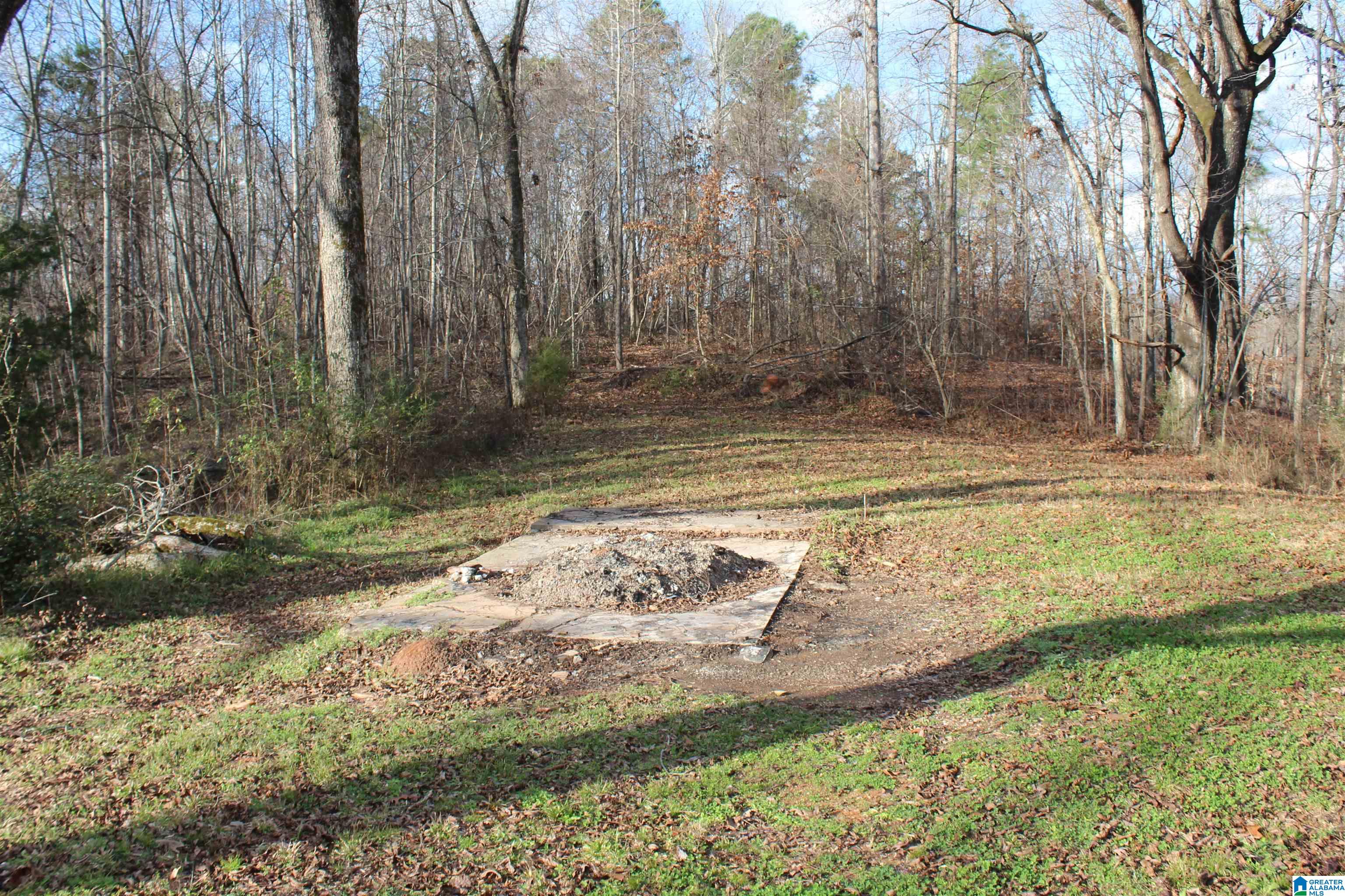 900 New County Line Road Sylacauga, AL 35151 - Photo 28 of 30