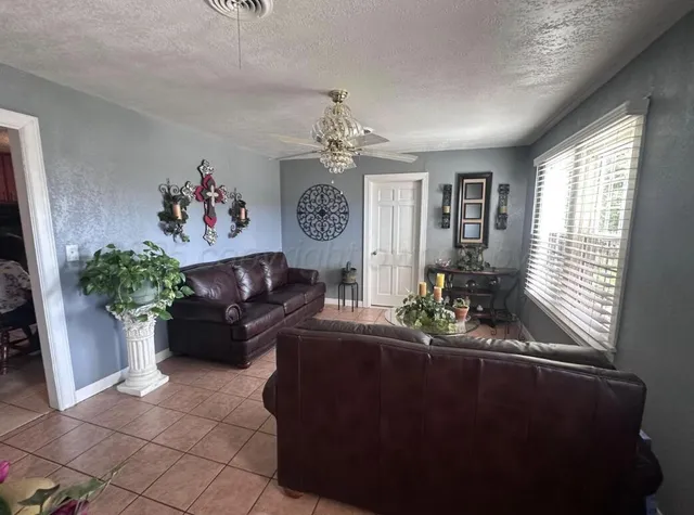a living room with furniture flowerpot and window