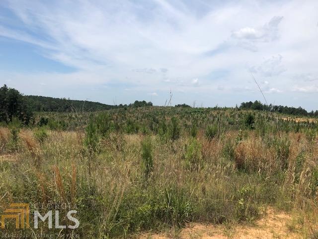 0 Peyton Road Homer, GA 30547 - Photo 1 of 1