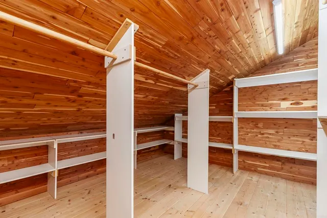 a view of a backyard with potted plants and large trees