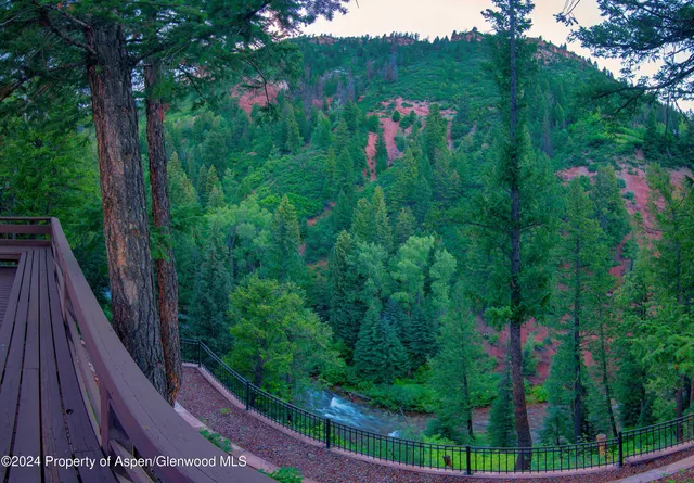 a view of a backyard