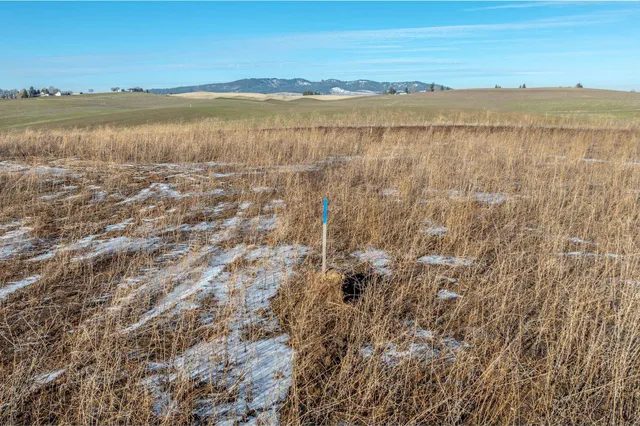 $500,000 | 11879 East Elder Road, Valleyford, WA 99036