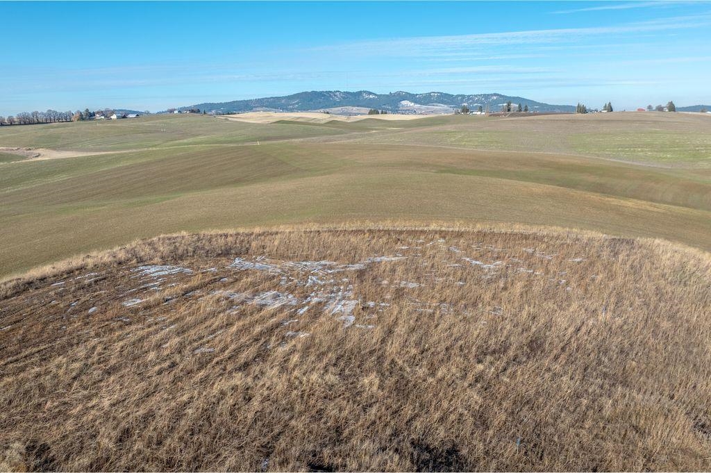 11879 East Elder Road Valleyford, WA 99036 - Photo 9 of 12