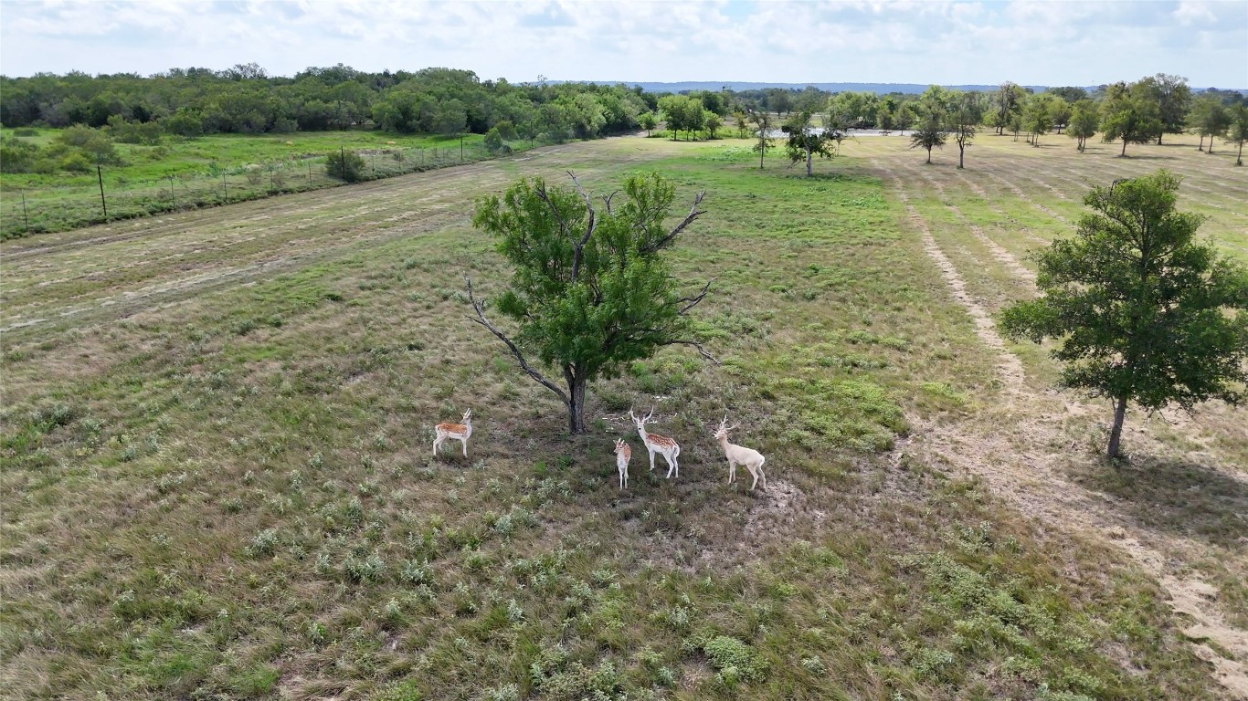 Tbd Watterson Road Red Rock, TX 78662 - Photo 2 of 6 a view of a lush green space