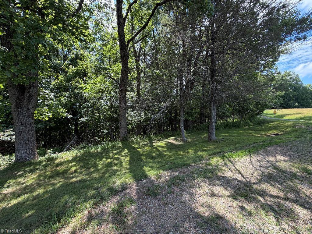 794 Rhododendron Road Hillsville, VA 24343 - Photo 27 of 27