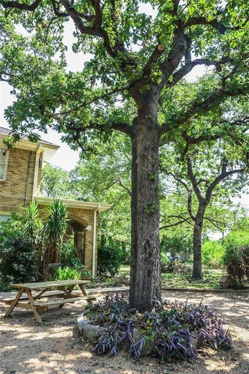 2301 Enfield Road Austin, TX 78703 - Photo 25 of 27 View of yard