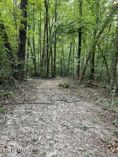 Wells Road Powell, TN 37849 - Photo 7 of 12 Wells Rd 9
