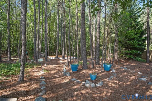 a view of garden with tall trees