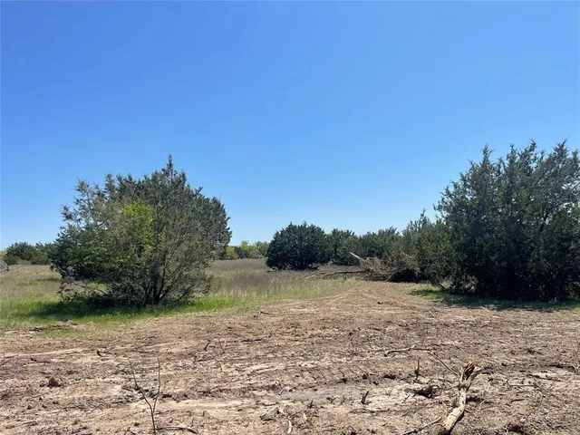 a view of a field with a tree in the background