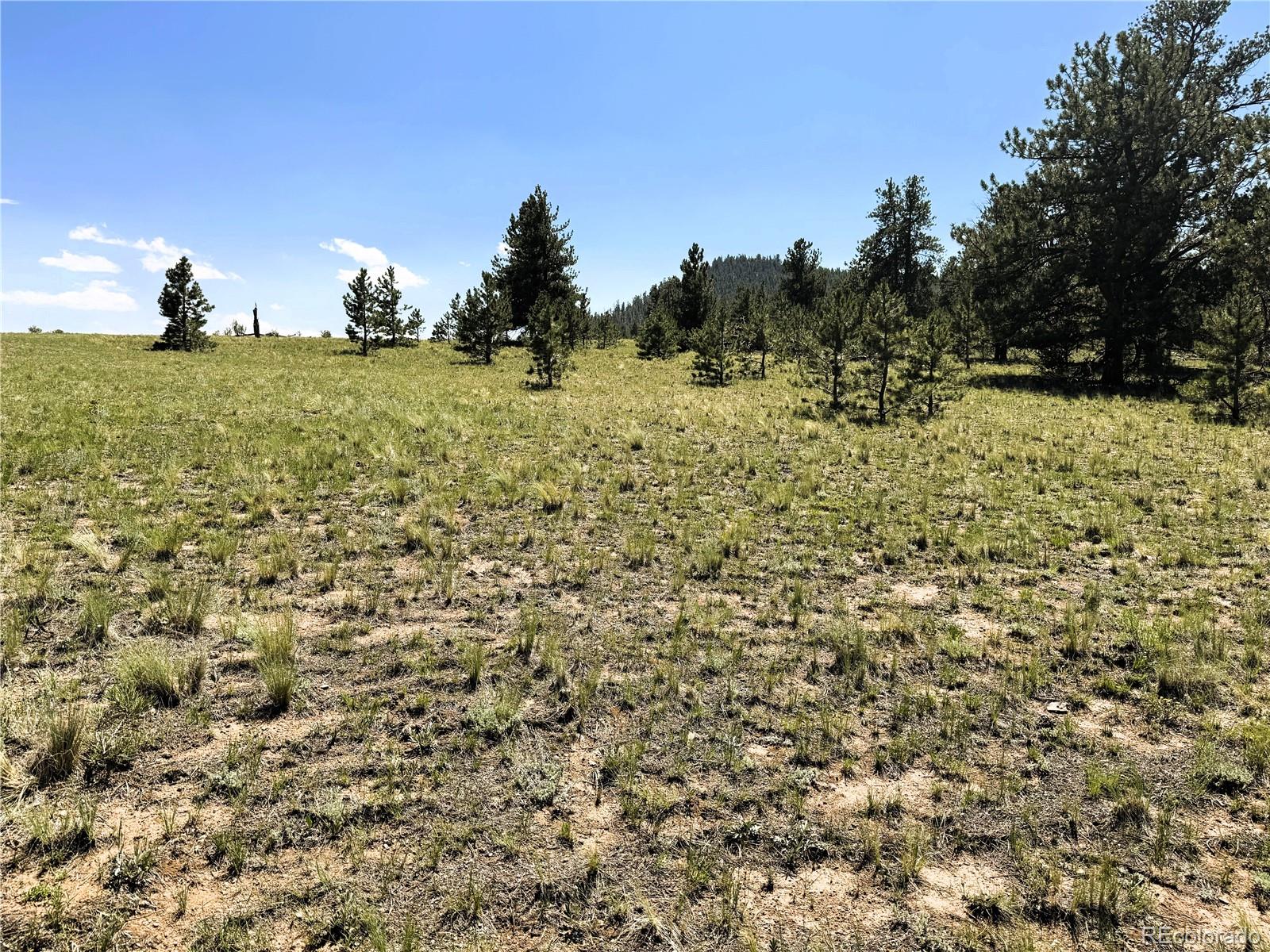 127 Boulder Road Hartsel, CO 80449 - Photo 6 of 34 Gallery Image 6