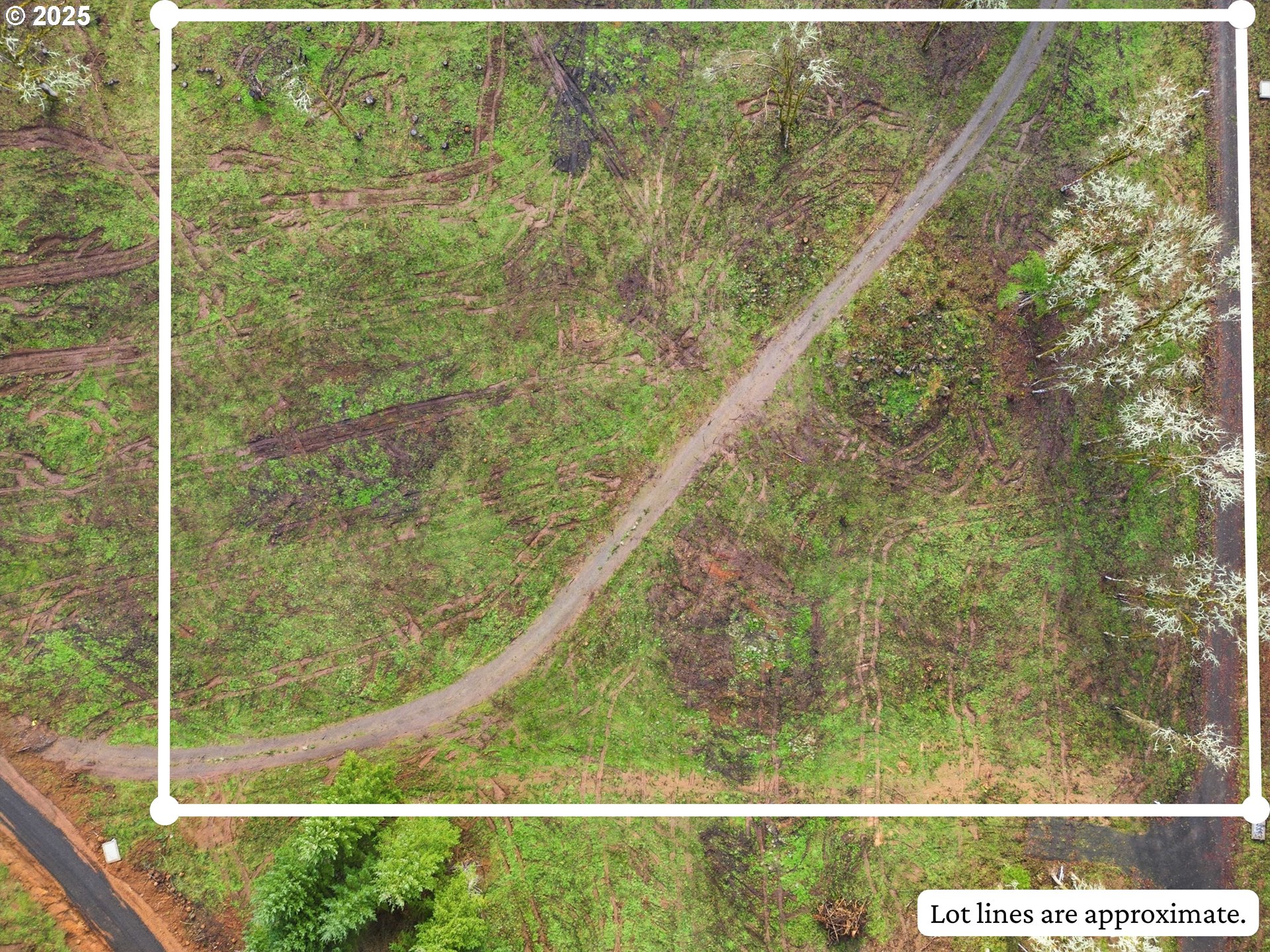 0 Northwest Berry Creek Road, Unit PAR 2 McMinnville, OR 97128 - Photo 2 of 15 a view of a yard from a window