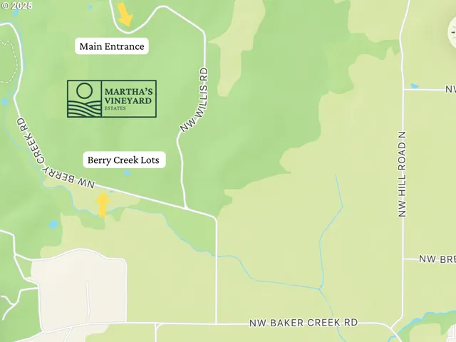 a view of a yard with a plant