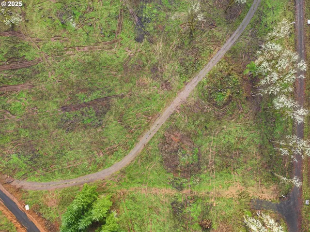 a view of outdoor space with trees