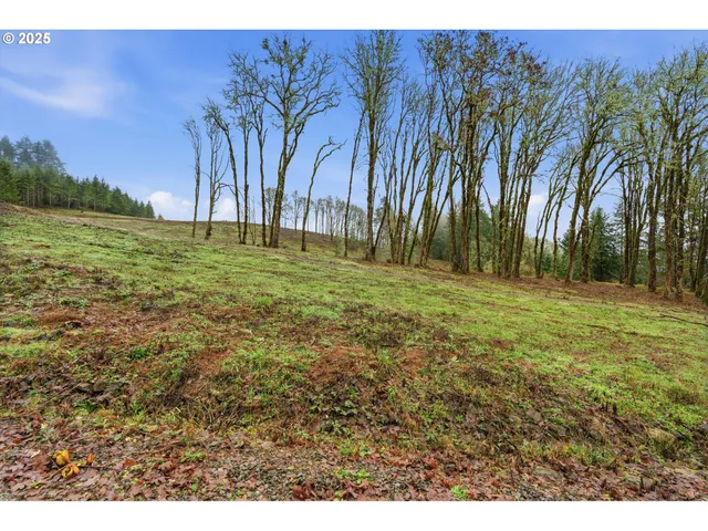 a view of an outdoor space and a yard