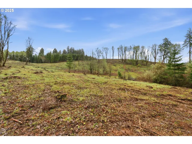a view of an outdoor space and a yard