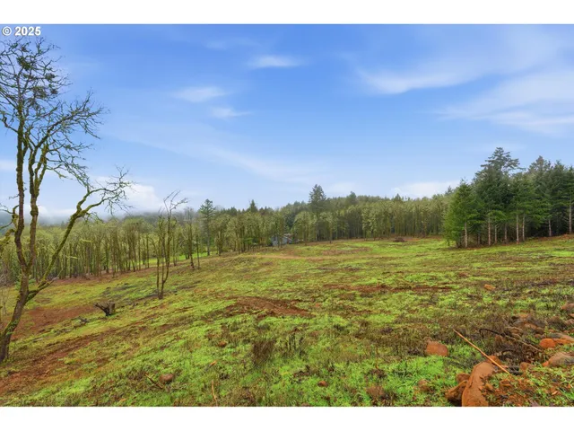 a view of a field with an ocean