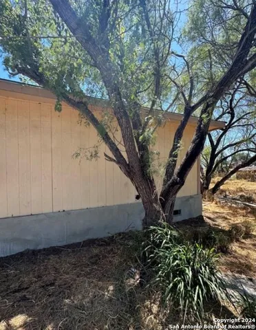 a view of backyard with large tree