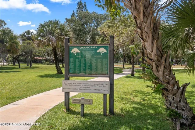 a view of a yard with plants and large trees