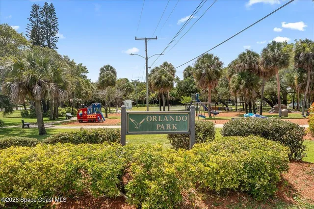 a view of a park with large trees
