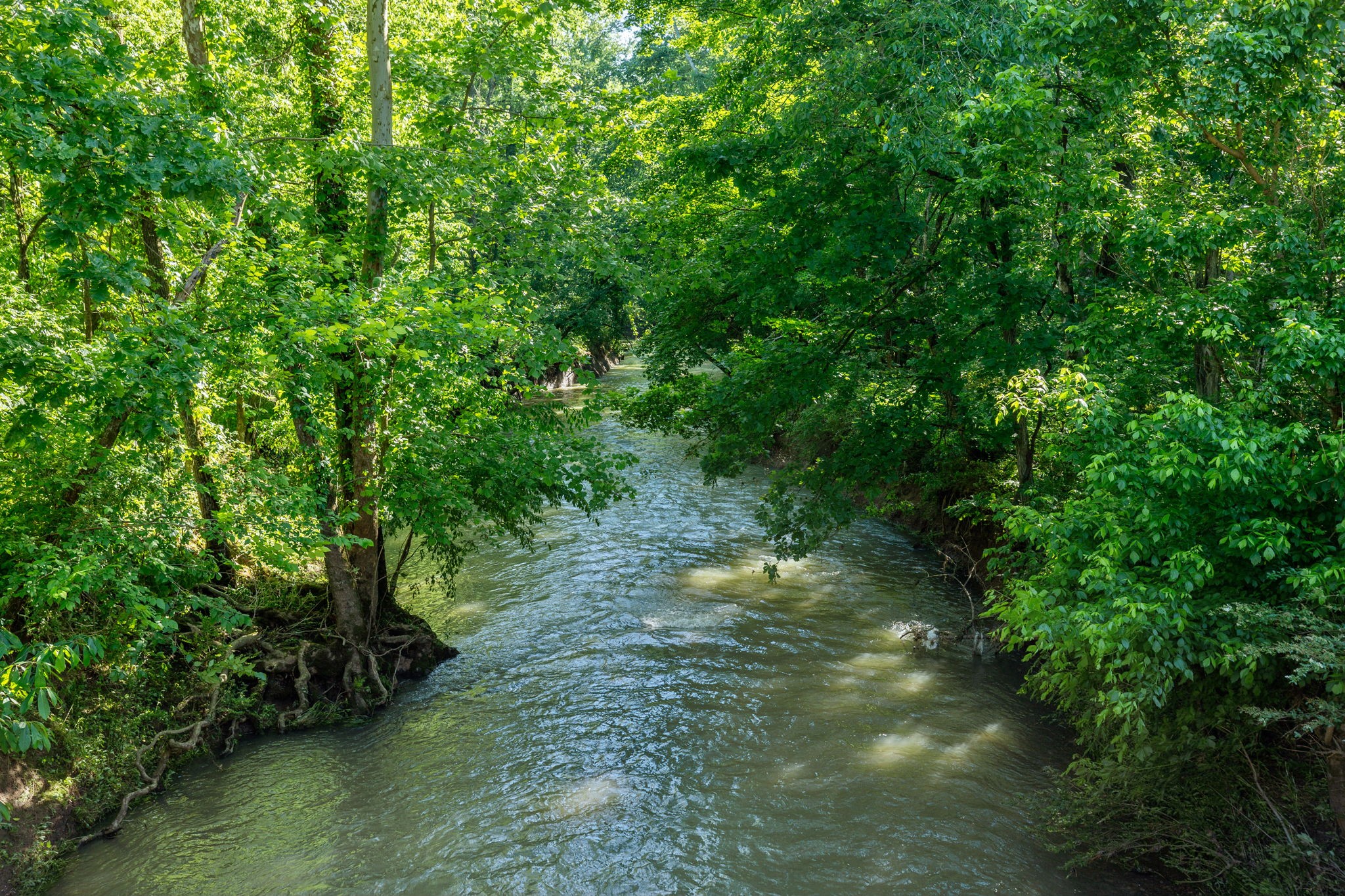 4136 Banner Square Lane Arrington, TN 37014 - Photo 64 of 71