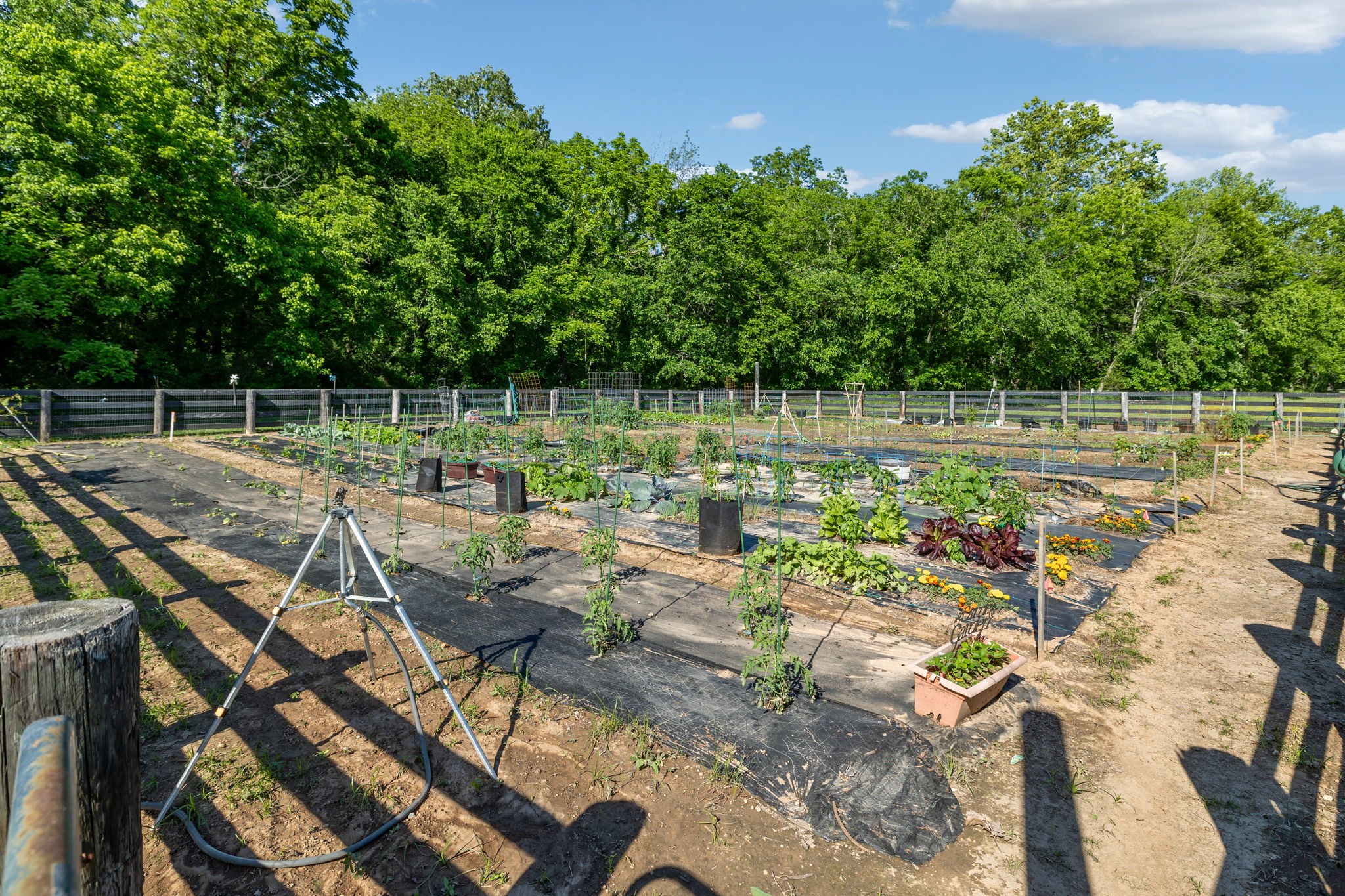 4136 Banner Square Lane Arrington, TN 37014 - Photo 65 of 71