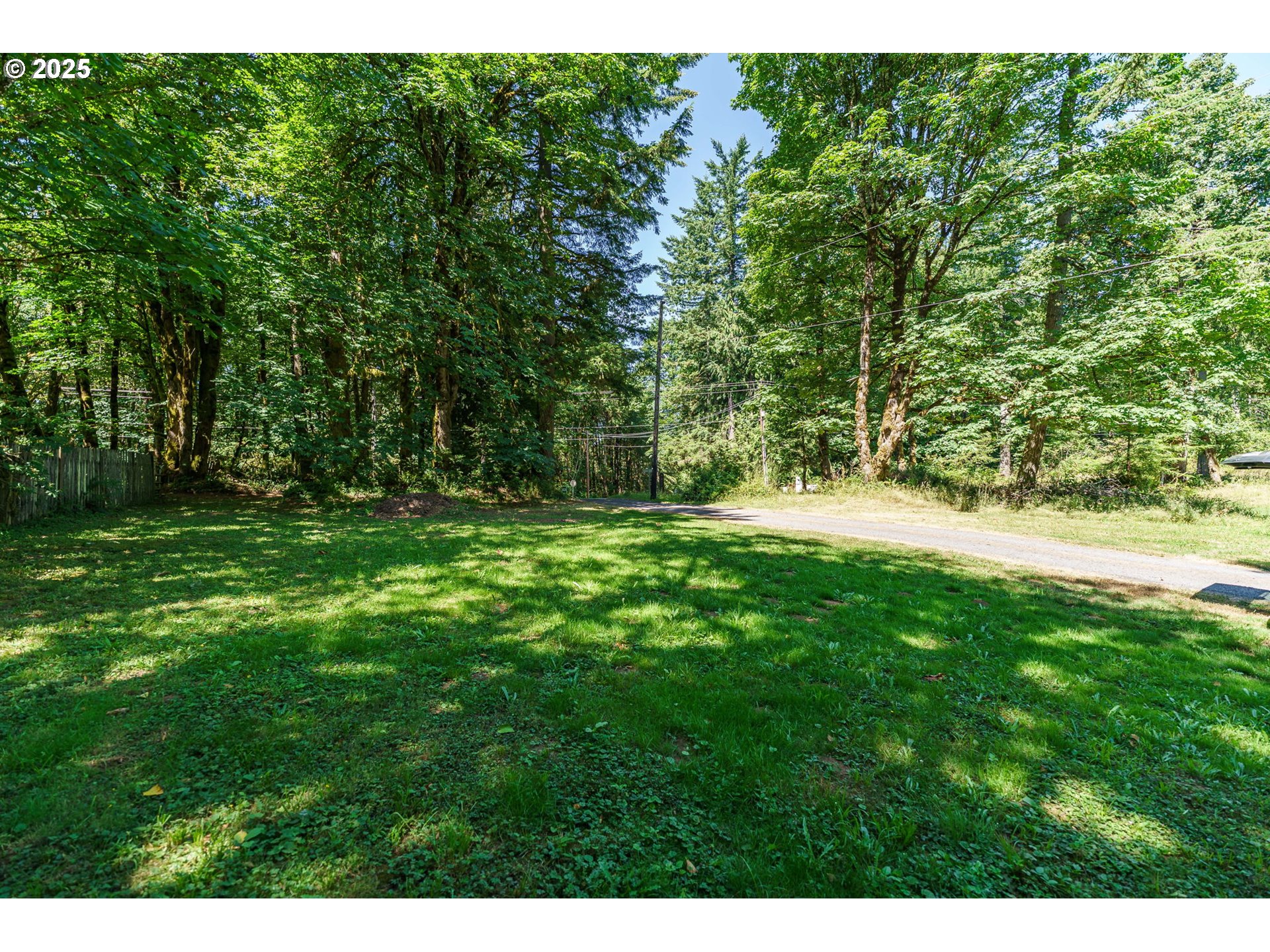 71682 Neer City Road Rainier, OR 97048 - Photo 42 of 48 a view of green field with trees in the background
