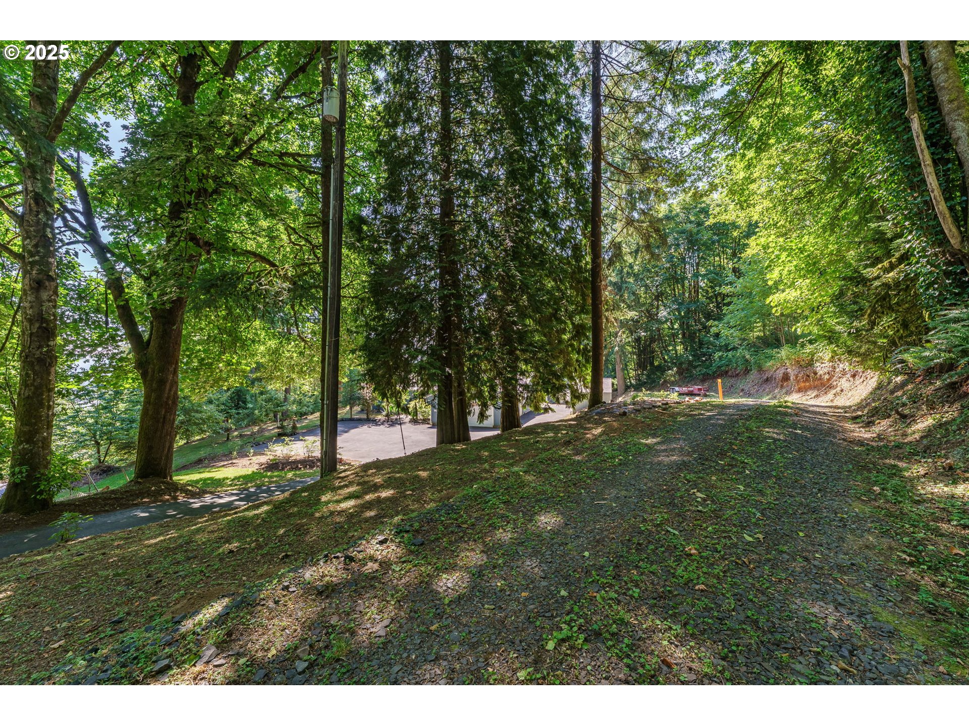 71682 Neer City Road Rainier, OR 97048 - Photo 48 of 48 a view of a field with trees in the background