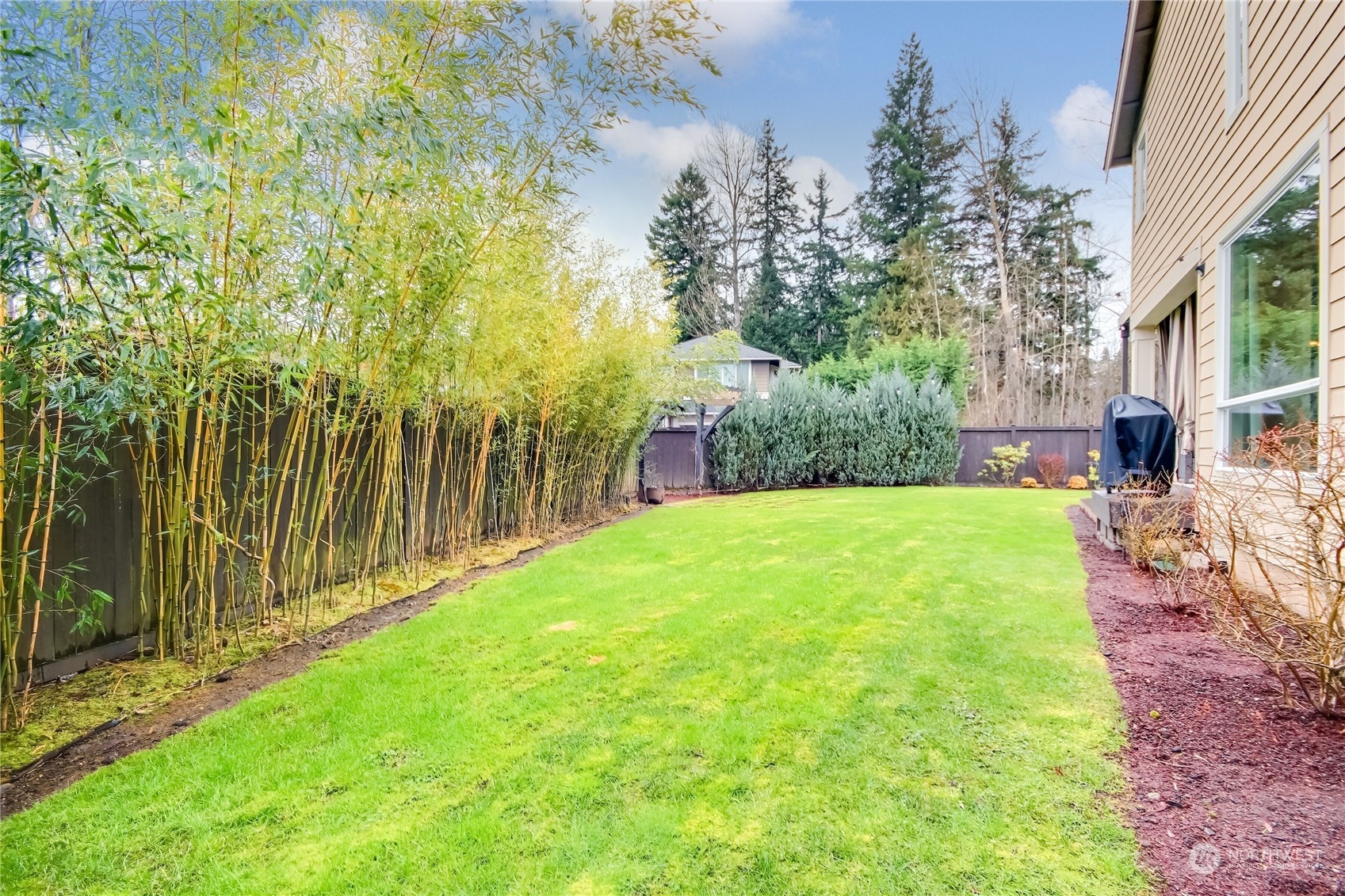 3822 Northeast 24th Court Renton, WA 98056 - Photo 34 of 37 a view of a yard with plants and large trees