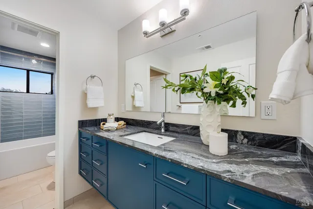 a bathroom with a granite countertop sink a potted plant and a mirror