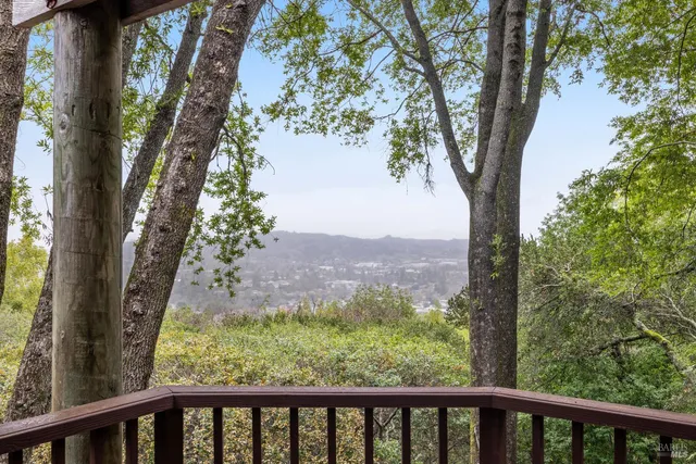 a view of a trees in a yard