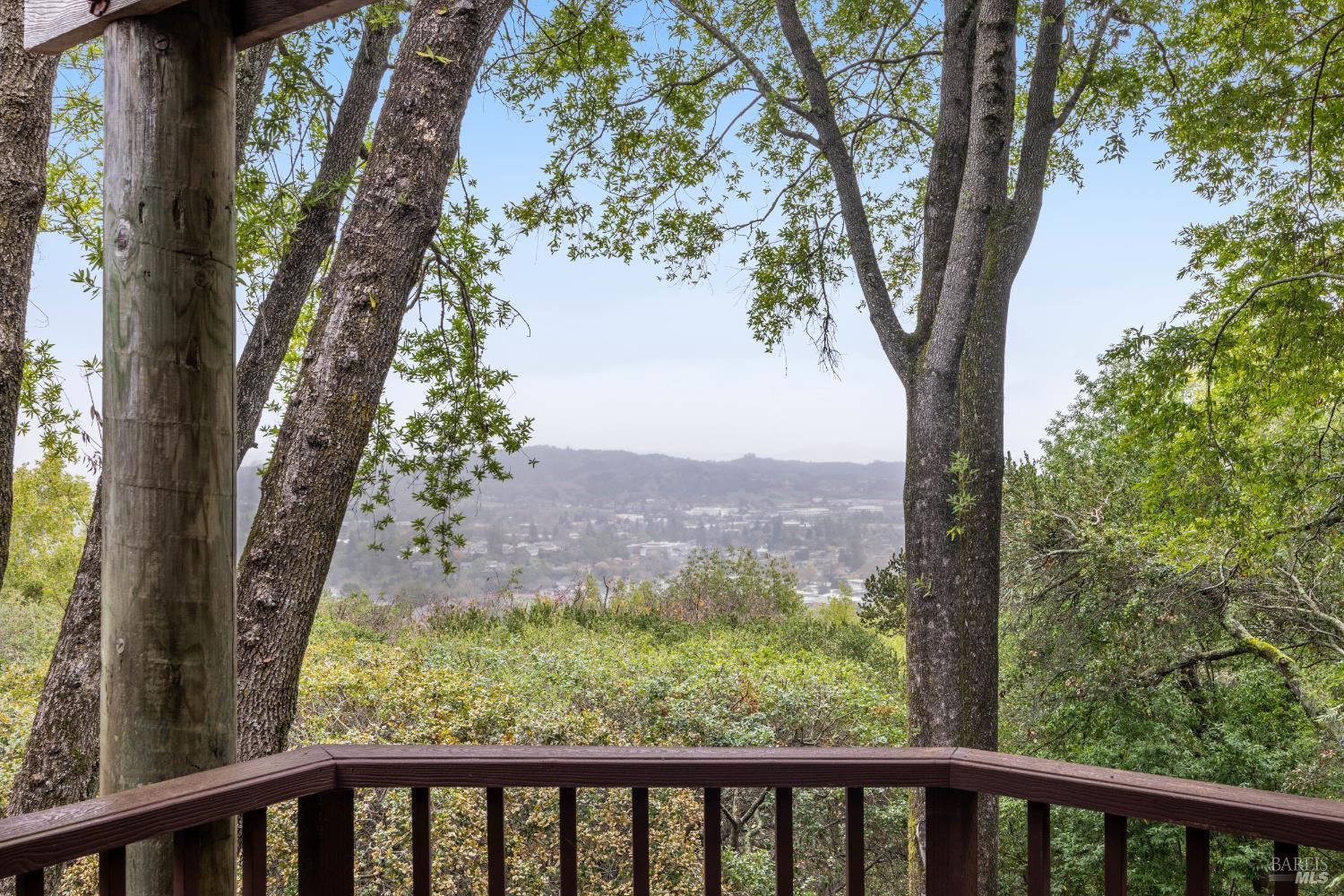101 Garner Drive Novato, CA 94947 - Photo 29 of 34 a view of a trees in a yard