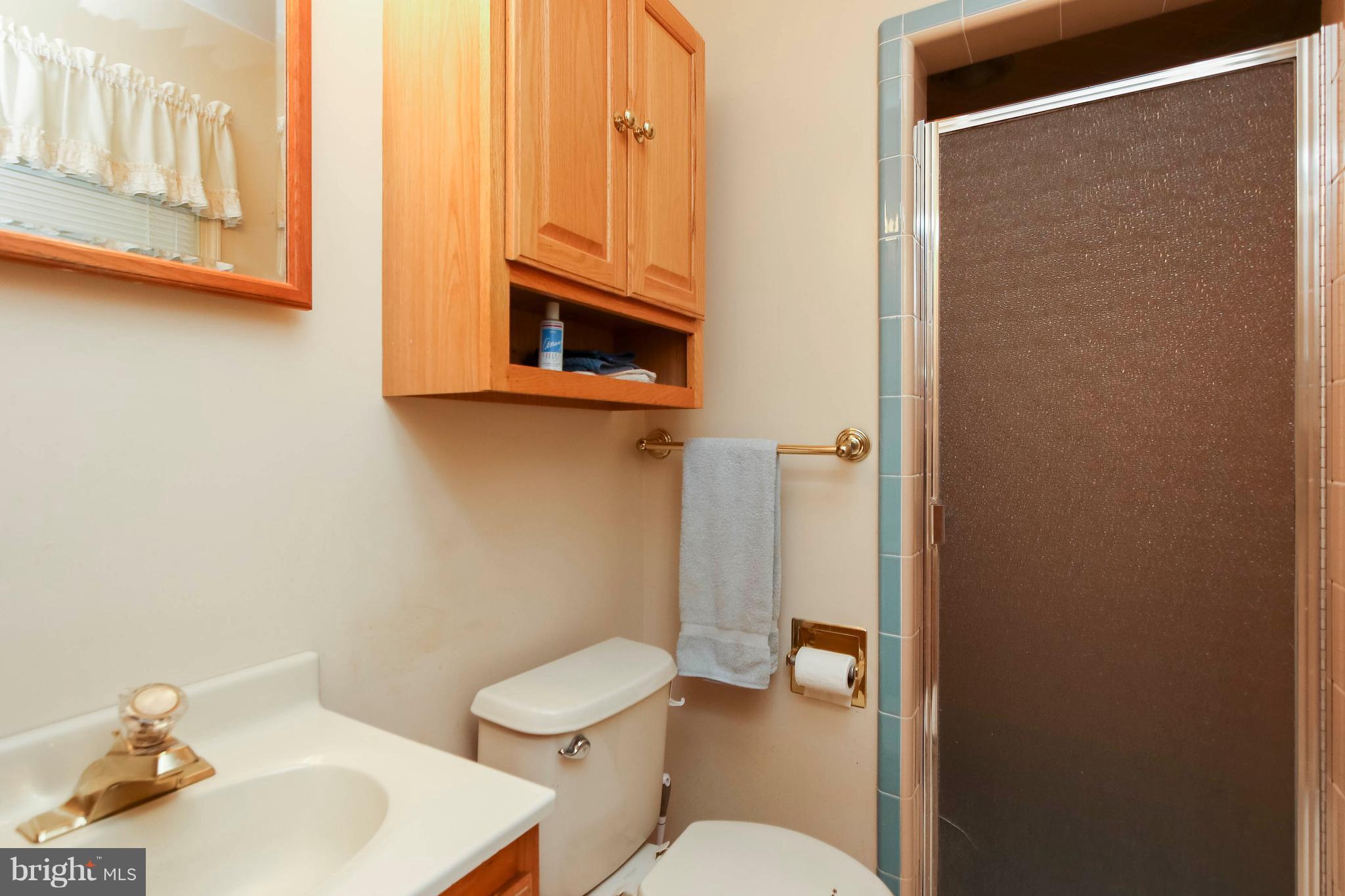 8550 Camp Road Chestertown, MD 21620 - Photo 13 of 30 Bath (Master)