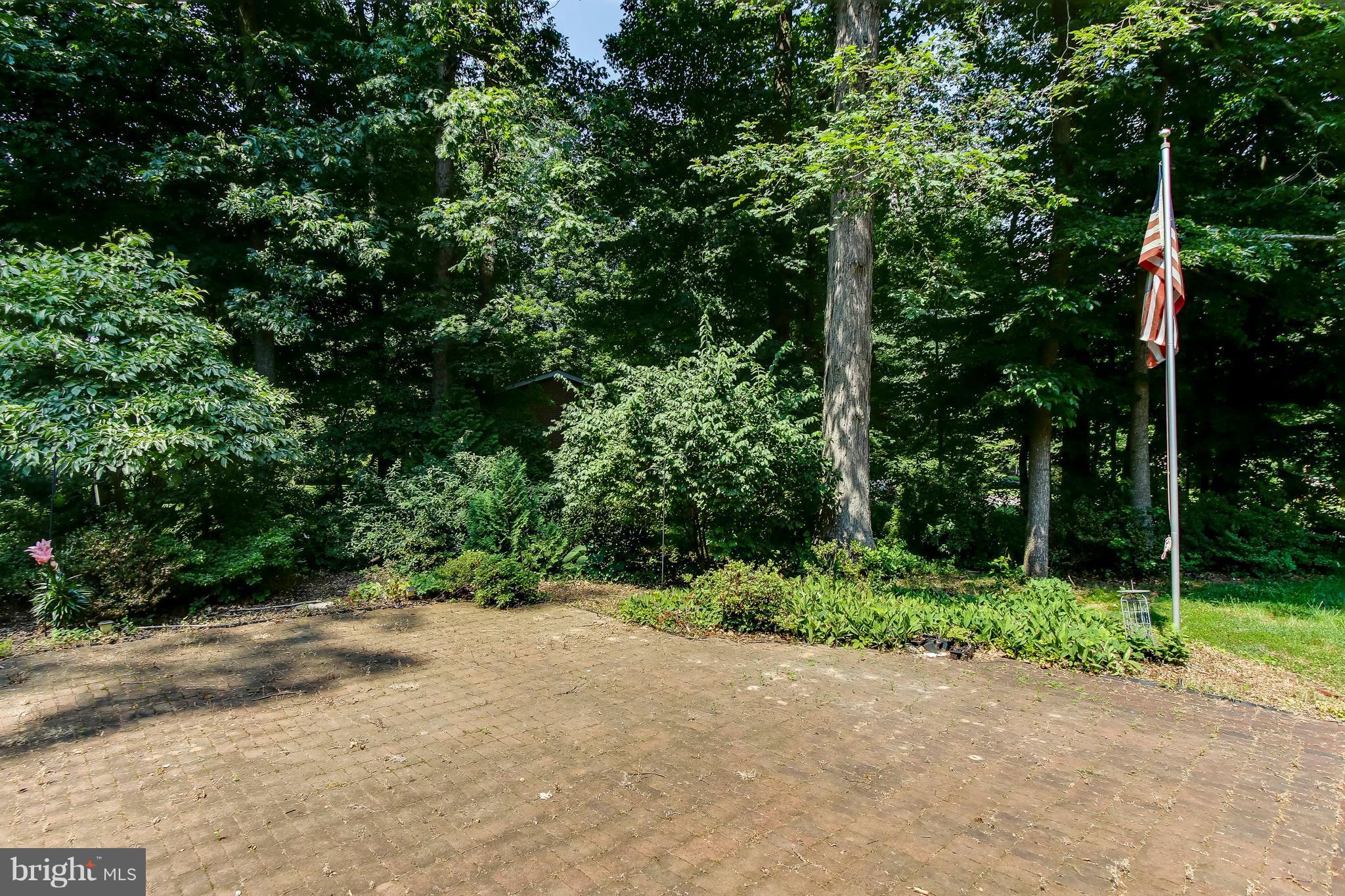 8550 Camp Road Chestertown, MD 21620 - Photo 27 of 30 Exterior (Rear)