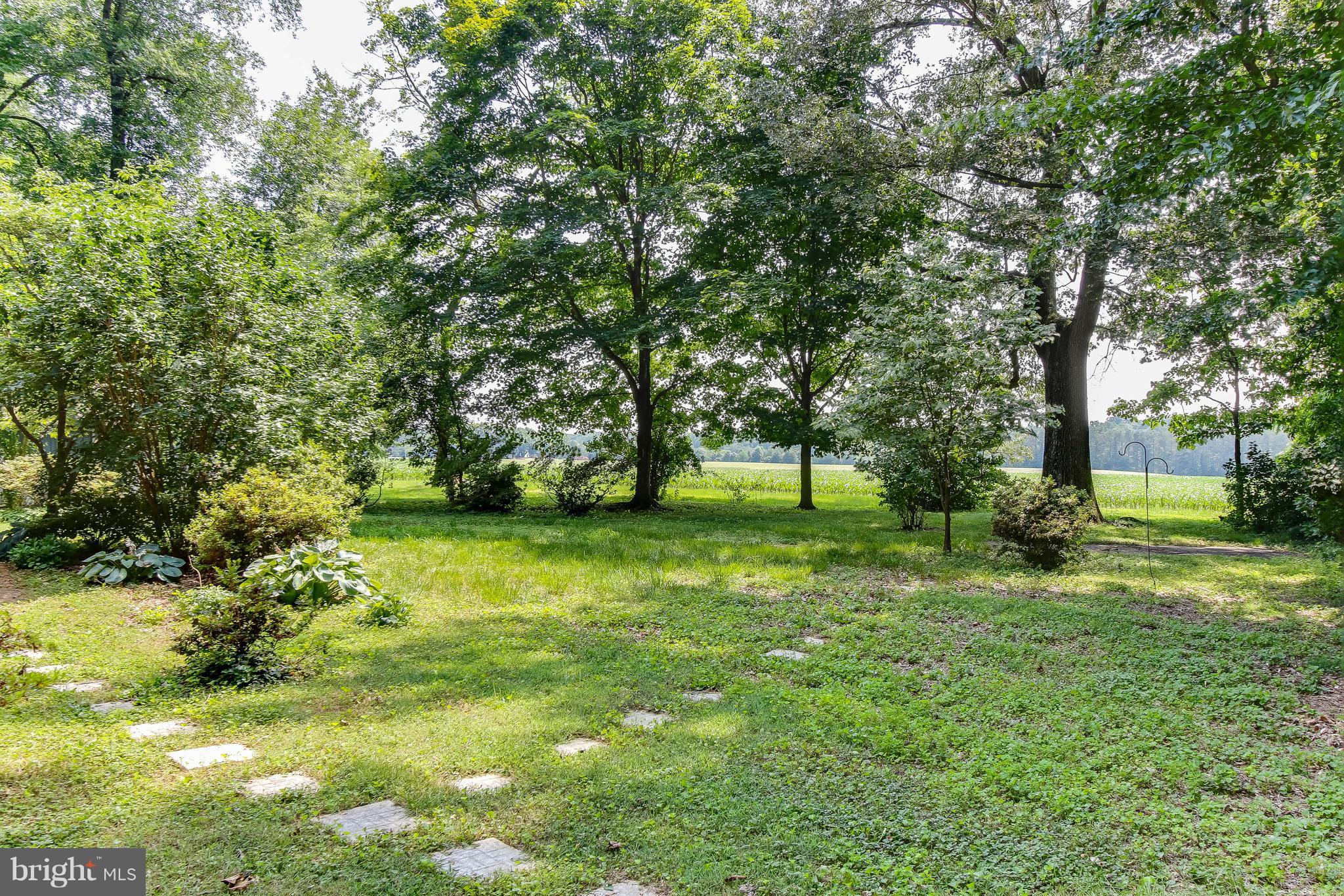8550 Camp Road Chestertown, MD 21620 - Photo 28 of 30 Exterior (Rear)