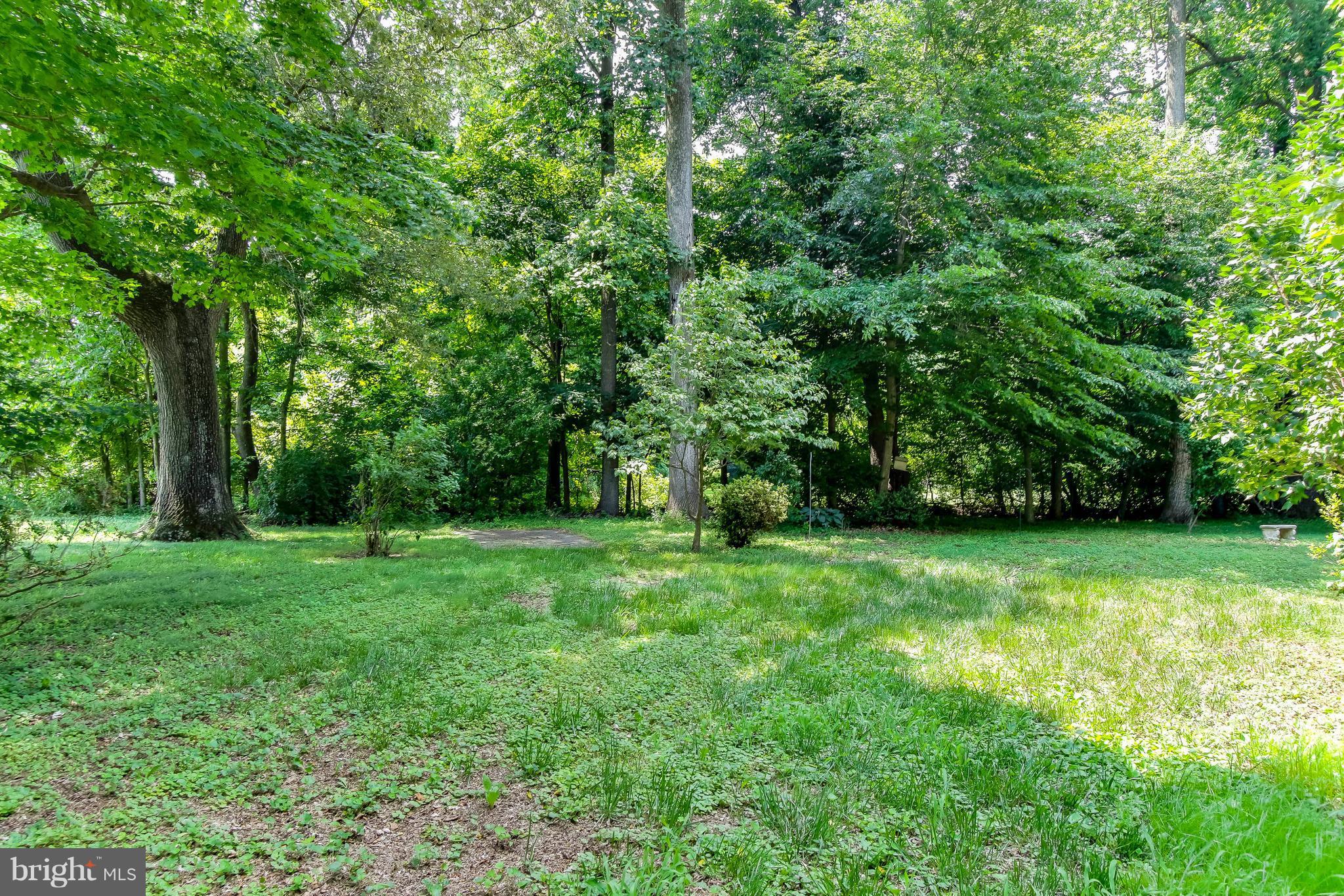 8550 Camp Road Chestertown, MD 21620 - Photo 29 of 30 Exterior (Rear)