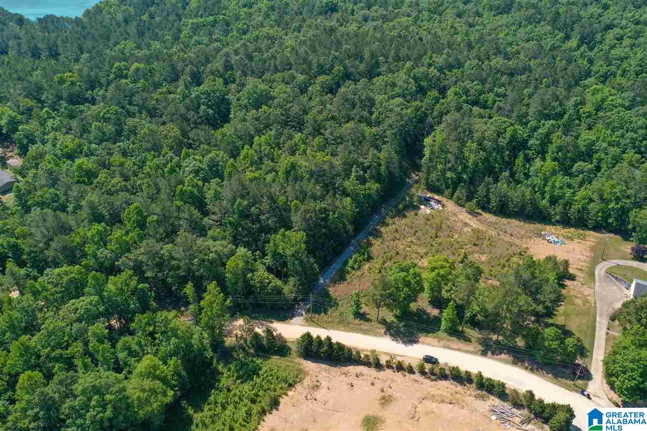948 Old Deer Creek Road Sterrett, AL 35147 - Photo 10 of 19