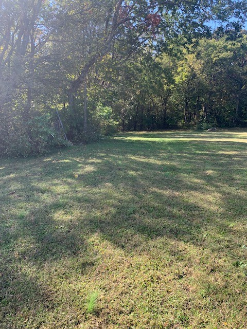 890 Bell Road Watertown, TN 37184 - Photo 45 of 62 a view of a yard with a trees