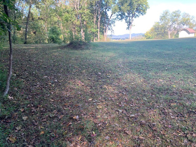 890 Bell Road Watertown, TN 37184 - Photo 47 of 62 a view of a yard with large trees
