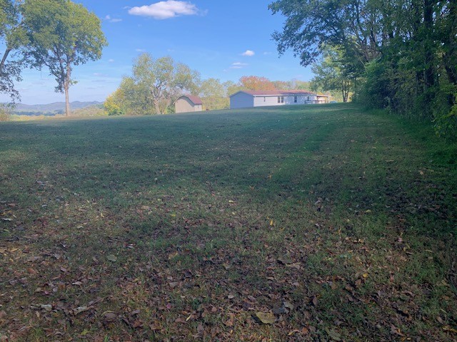 890 Bell Road Watertown, TN 37184 - Photo 48 of 62 a view of a field with an trees