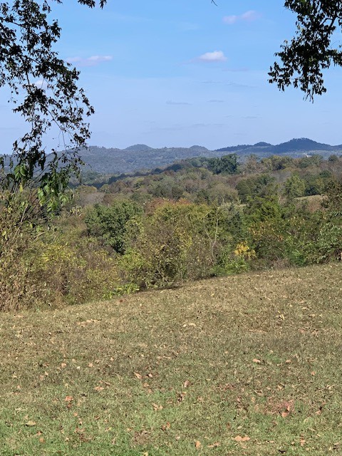 890 Bell Road Watertown, TN 37184 - Photo 50 of 62 a view of a field with an ocean