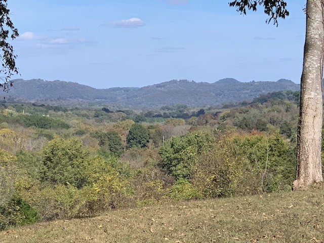 890 Bell Road Watertown, TN 37184 - Photo 52 of 62 a view of a lush green hillside and a building