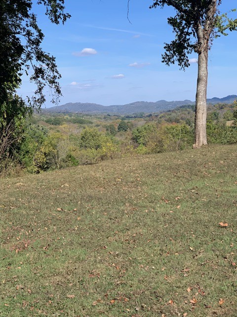 890 Bell Road Watertown, TN 37184 - Photo 53 of 62 a view of a field with an trees