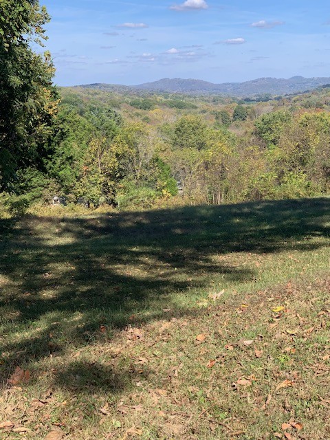 890 Bell Road Watertown, TN 37184 - Photo 54 of 62 a view of an ocean view