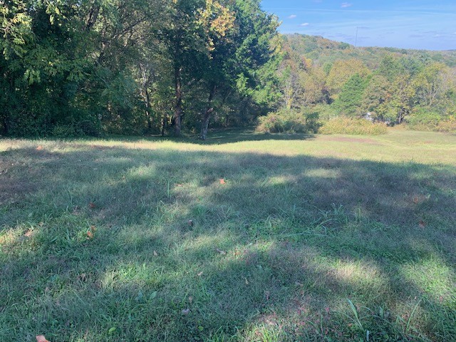 890 Bell Road Watertown, TN 37184 - Photo 57 of 62 a view of outdoor space and yard