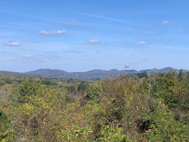 890 Bell Road Watertown, TN 37184 - Photo 61 of 62 a view of a mountain range with lush green forest