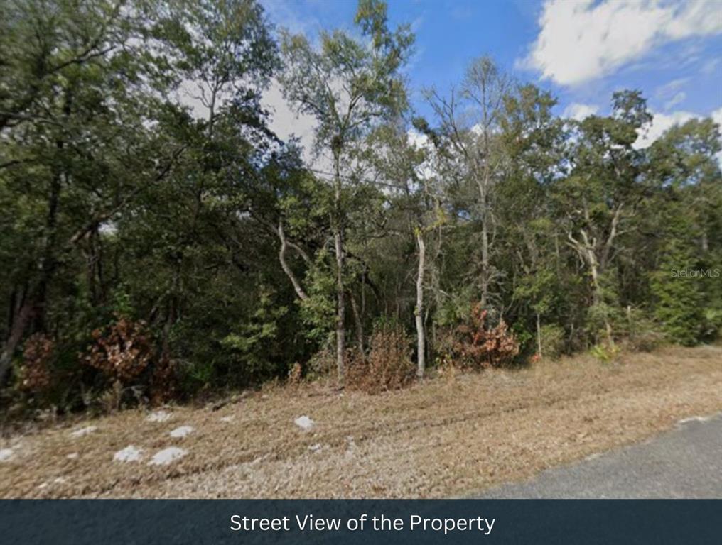 Northwest 85th Avenue Chiefland, FL 32626 - Photo 12 of 26