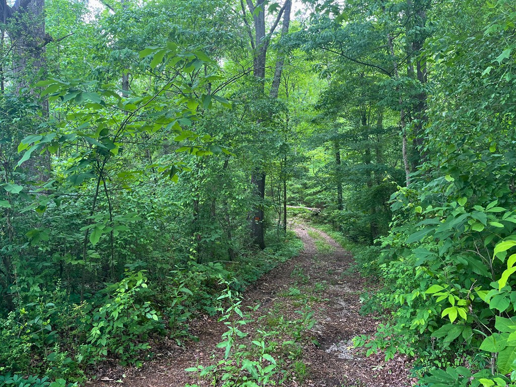 0 Southeast Womack Road Dalton, GA 30721 - Photo 2 of 11