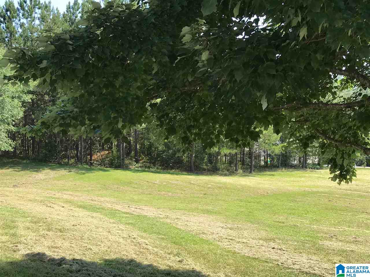 2581 Pleasant Valley Road Jacksonville, AL 36265 - Photo 18 of 23